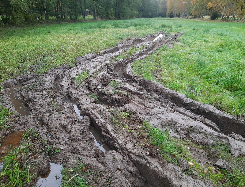 Hledáme okukovače luční