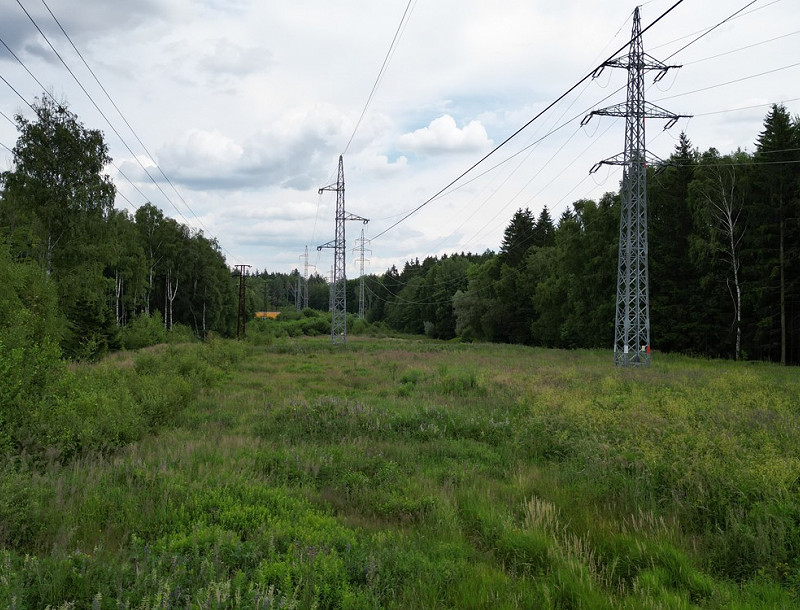 Městská rezervace Nad Kamenným rybníkem