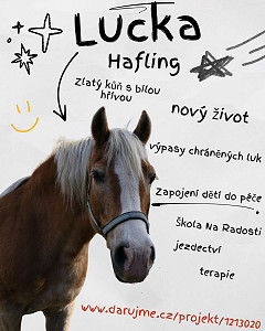Společnost WinFAS podpořila nový domov pro kobylku Lucy