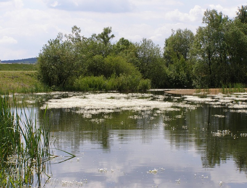 Laguna u Bohdalova